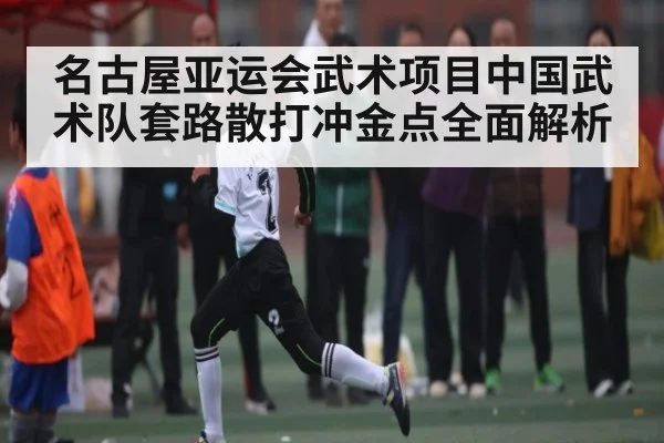 名古屋亚运会武术项目中国武术队套路散打冲金点全面解析
