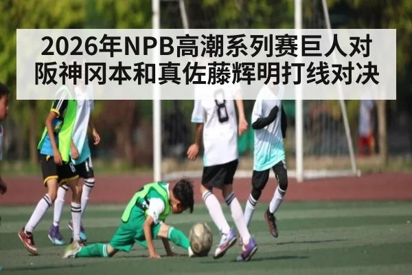 2026年NPB高潮系列赛巨人对阪神冈本和真佐藤辉明打线对决